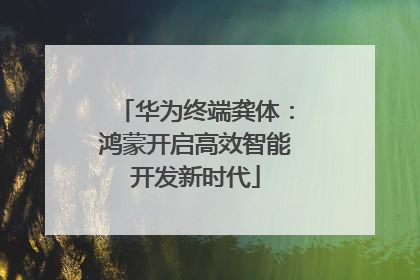 华为终端龚体：鸿蒙开启高效智能开发新时代