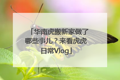 华南虎搬新家做了哪些事儿？来看虎虎日常Vlog