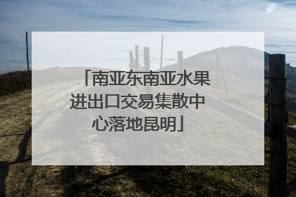 南亚东南亚水果进出口交易集散中心落地昆明