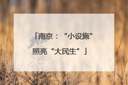 南京：“小设施”照亮“大民生”
