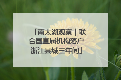 南太湖观察｜联合国直属机构落户浙江县城三年间