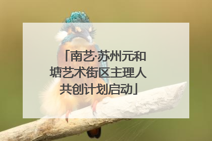 南艺·苏州元和塘艺术街区主理人共创计划启动