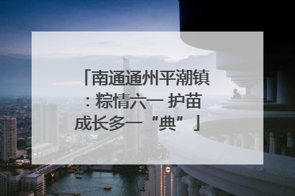 南通通州平潮镇：粽情六一 护苗成长多一“典”