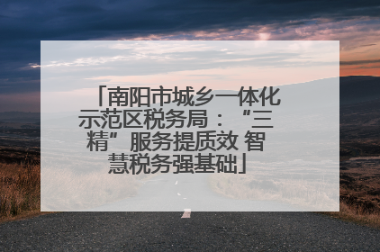南阳市城乡一体化示范区税务局：“三精”服务提质效 智慧税务强基础