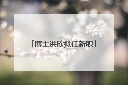 博士洪欣拟任新职