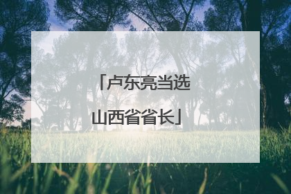卢东亮当选山西省省长