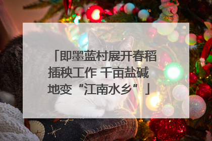即墨蓝村展开春稻插秧工作 千亩盐碱地变“江南水乡”