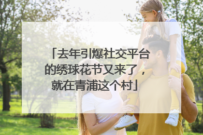 去年引爆社交平台的绣球花节又来了，就在青浦这个村
