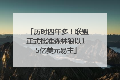 历时四年多！联盟正式批准森林狼以15亿美元易主