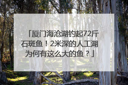 厦门海沧湖钓起72斤石斑鱼！2米深的人工湖为何有这么大的鱼？
