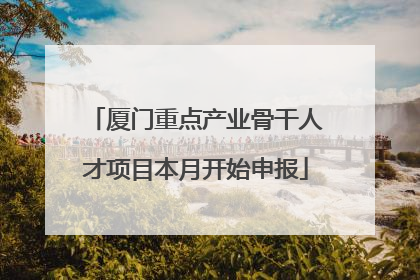 厦门重点产业骨干人才项目本月开始申报