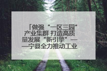 做强“一区三园”产业集群 打造高质量发展“新引擎”——宁县全力推动工业经济提质增效
