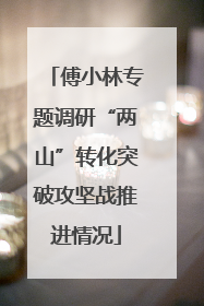 傅小林专题调研“两山”转化突破攻坚战推进情况