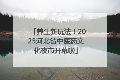 养生新玩法！2025河北省中医药文化夜市开幕啦