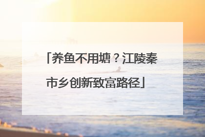 养鱼不用塘？江陵秦市乡创新致富路径