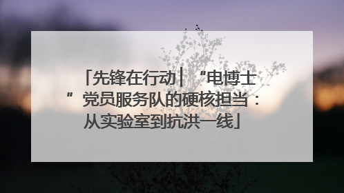 先锋在行动 ▏“电博士”党员服务队的硬核担当：从实验室到抗洪一线