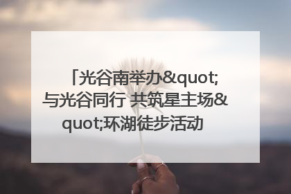 光谷南举办"与光谷同行 共筑星主场"环湖徒步活动 吸引500余名市民参与