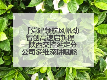 党建领航风帆劲 智创高速启新程—陕西交控延定分公司多维深耕赋能运营管理新跨越