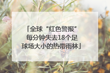 全球“红色警报”  每分钟失去18个足球场大小的热带雨林