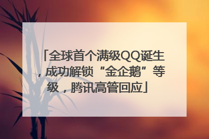 全球首个满级QQ诞生，成功解锁“金企鹅”等级，腾讯高管回应