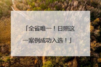 全省唯一！日照这一案例成功入选！
