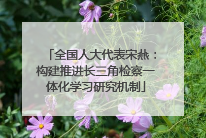 全国人大代表宋燕：构建推进长三角检察一体化学习研究机制