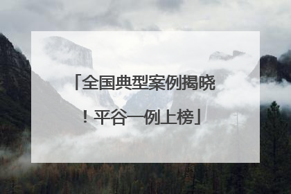 全国典型案例揭晓！平谷一例上榜
