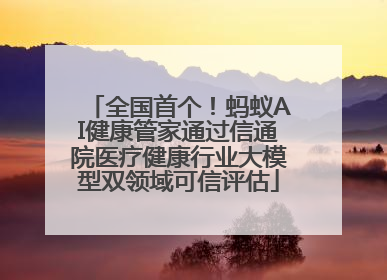 全国首个！蚂蚁AI健康管家通过信通院医疗健康行业大模型双领域可信评估