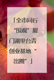 全市同行“围观”厦门湖里台青创业基地“出圈”