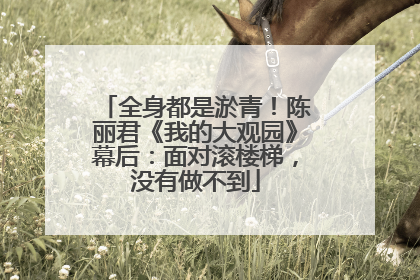 全身都是淤青！陈丽君《我的大观园》幕后：面对滚楼梯，没有做不到