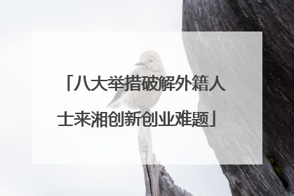 八大举措破解外籍人士来湘创新创业难题