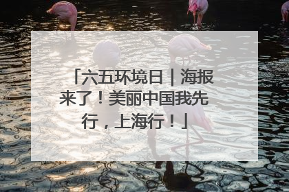 六五环境日｜海报来了！美丽中国我先行，上海行！