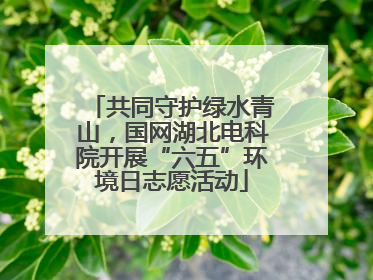 共同守护绿水青山，国网湖北电科院开展“六五”环境日志愿活动