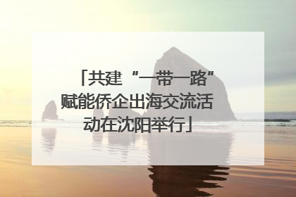 共建“一带一路”赋能侨企出海交流活动在沈阳举行