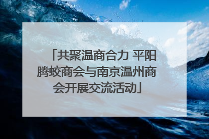 共聚温商合力 平阳腾蛟商会与南京温州商会开展交流活动