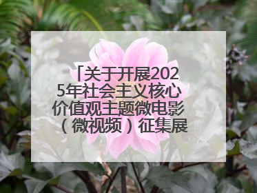 关于开展2025年社会主义核心价值观主题微电影（微视频）征集展示活动的公告