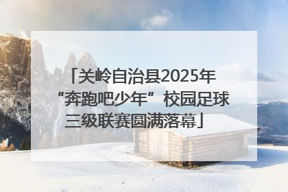 关岭自治县2025年“奔跑吧少年”校园足球三级联赛圆满落幕
