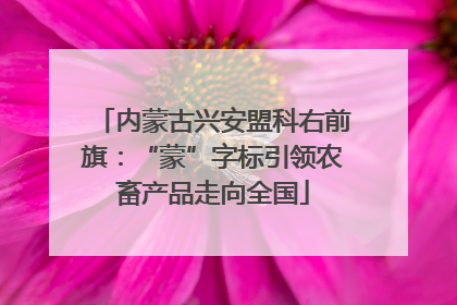 内蒙古兴安盟科右前旗：“蒙”字标引领农畜产品走向全国