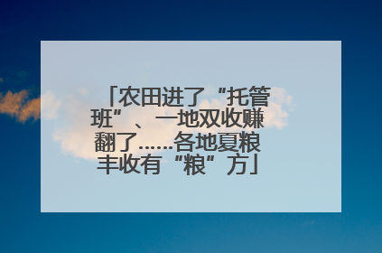 农田进了“托管班”、一地双收赚翻了……各地夏粮丰收有“粮”方