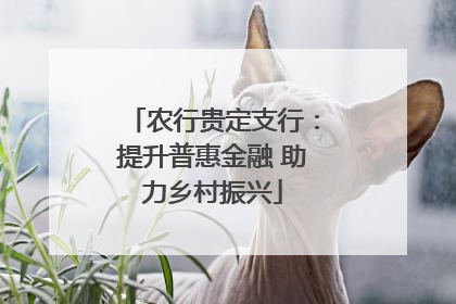 农行贵定支行：提升普惠金融 助力乡村振兴