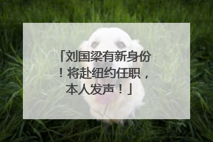 刘国梁有新身份！将赴纽约任职，本人发声！