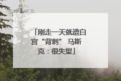 刚走一天就遭白宫“背刺” 马斯克：很失望