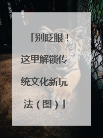 别眨眼！这里解锁传统文化新玩法（图）