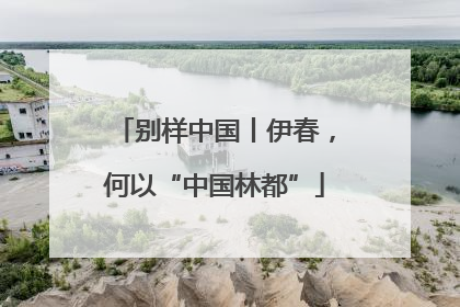 别样中国丨伊春，何以“中国林都”