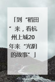 到“稻田”来，看杭州上城20年来“光阴的故事”