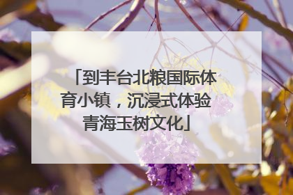 到丰台北粮国际体育小镇，沉浸式体验青海玉树文化