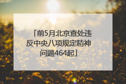 前5月北京查处违反中央八项规定精神问题464起