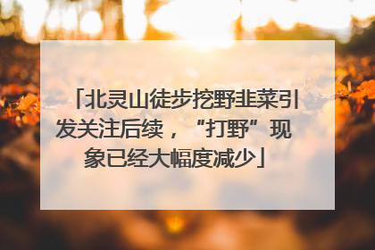 北灵山徒步挖野韭菜引发关注后续，“打野”现象已经大幅度减少
