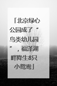 北京绿心公园成了“鸟类幼儿园”，福泽湖畔降生8只小鸳鸯