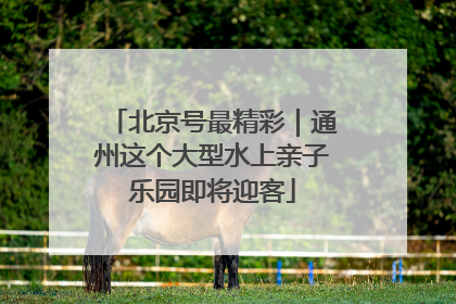 北京号最精彩｜通州这个大型水上亲子乐园即将迎客